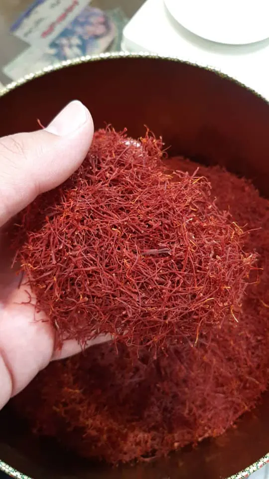 Hand lifting a cluster of saffron threads from a full tin